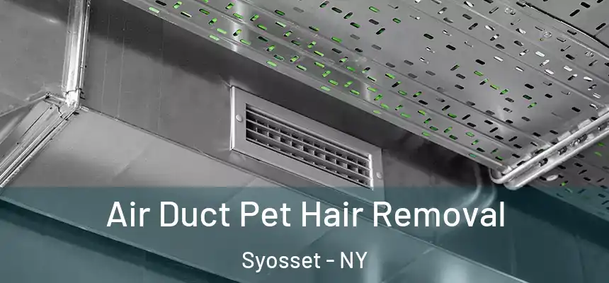Air Duct Pet Hair Removal Syosset - NY