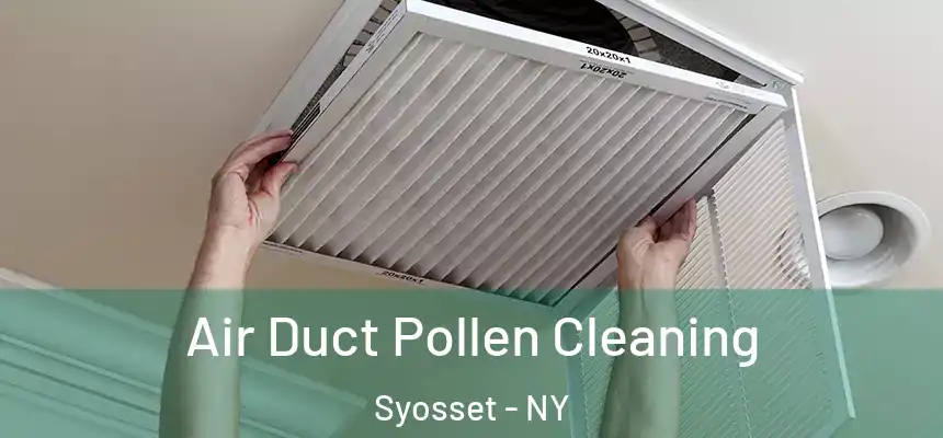  Air Duct Pollen Cleaning Syosset - NY