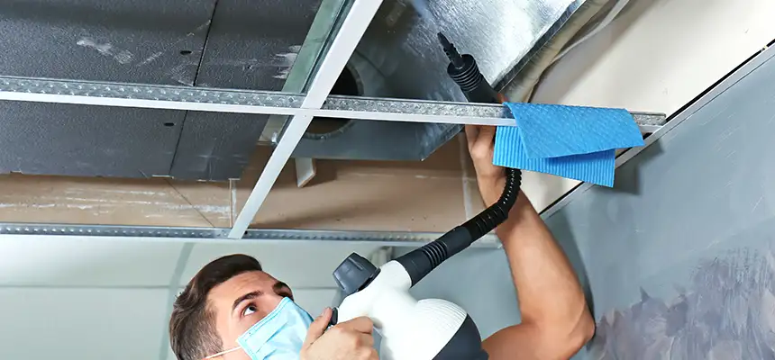 Our Air Duct Rodent Removal Services in Syosset, NY