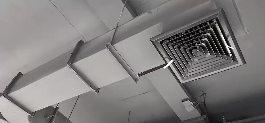 Restorative Allergy Relief Vent Cleaning – Coil, Blower & Housing Detail in Syosset