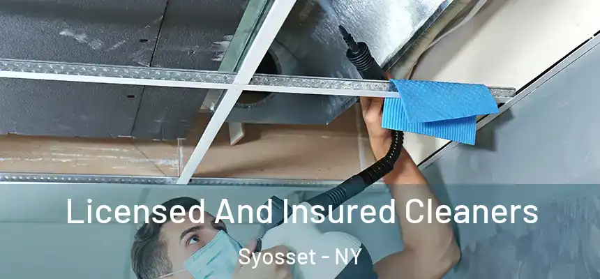 Licensed And Insured Cleaners Syosset - NY