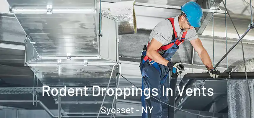 Rodent Droppings In Vents Syosset - NY