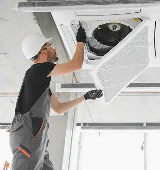 About Air Duct Rodent Removal in Syosset, NY