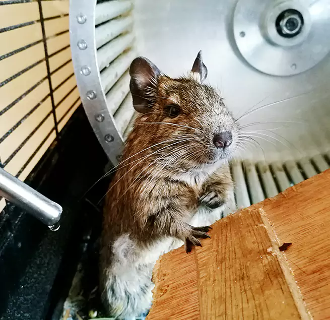 Why Homeowners & Businesses Trust Us Syosset, NY?